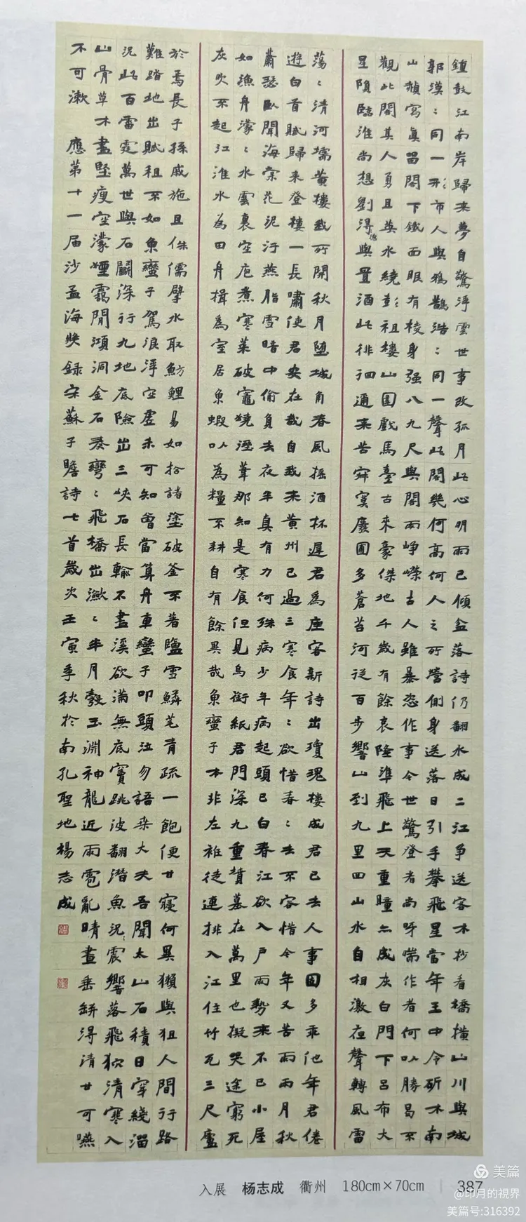 浙江·衢州 杨志成的书法艺术